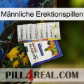 Männliche Erektionspillen 11